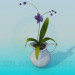 3d model orchid in a jug - preview