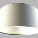 modello 3D Lampada da soffitto 0630 - anteprima