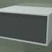 3D Modell Box (8AUAAA01, Gletscherweiß C01, HPL P05, L 48, P 36, H 24 cm) - Vorschau