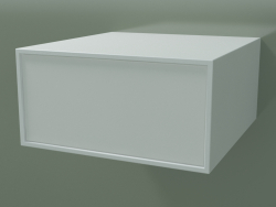 Box (8AUAAB01, Gletscherweiß C01, HPL P01, L 48, P 50, H 24 cm)