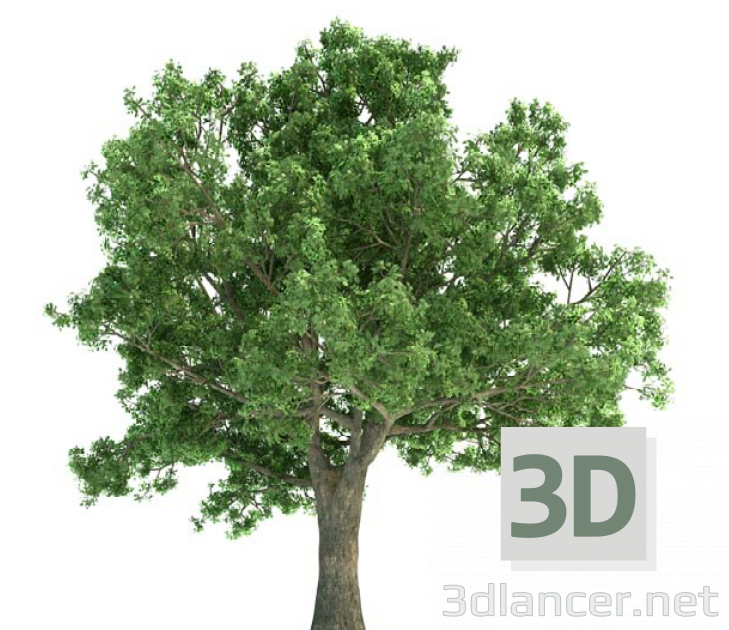 Modelo 3d Árvore - preview