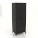 Modelo 3d Gabinete 1 600x450x1650 mm (preto RAL 9005) - preview