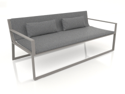 2-Sitzer-Sofa (Quarzgrau)