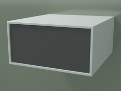Box (8AUAAB01, Gletscherweiß C01, HPL P05, L 48, P 50, H 24 cm)