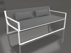 2-Sitzer-Sofa (Weiß)