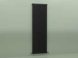 Радиатор TESI 2 (H 2200 15EL, Black - RAL 9005)