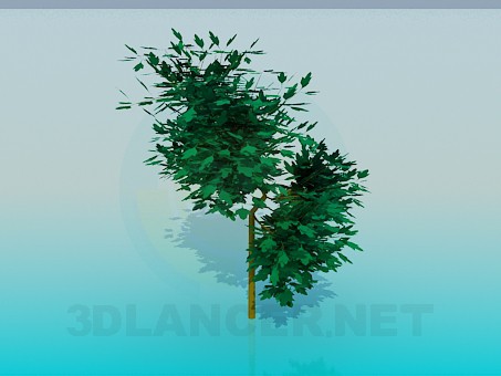 Modelo 3d Árvore - preview