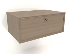 Mueble de pared TM 14 (600x400x250, gris madera)