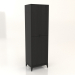 3d model Cabinet 1 600x450x2000 mm (black RAL 9005) - preview