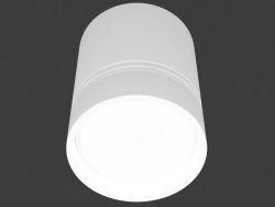Накладний світлодіодний світильник (DL18481_WW-White R)