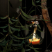 Holzzweig mit Pflanzen in Töpfen und Kerzen 3D-Modell kaufen - Rendern