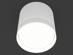 Накладний стельовий світлодіодний світильник (DL18483_WW-White R)