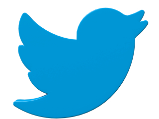 Twitter bird symbol