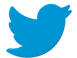 Twitter bird symbol