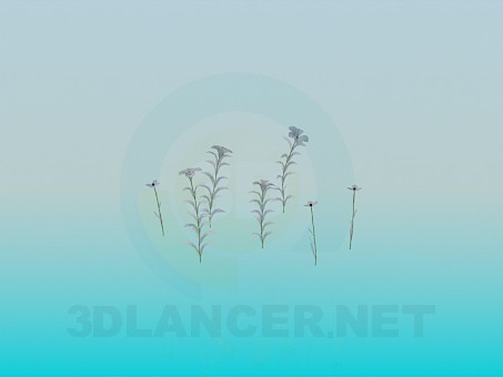 3d model Spring flowers - preview