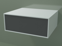 बॉक्स (8AUBAB01, ग्लेशियर व्हाइट C01, HPL P05, L 60, P 50, H 24 सेमी)