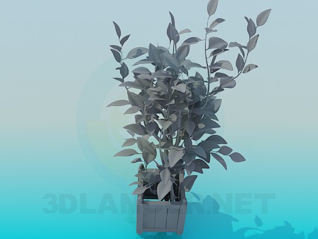 3d Plants Download