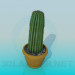 3d model Cactus - preview