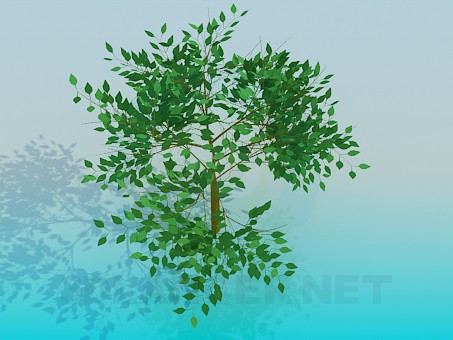 modelo 3D Árbol - escuchar modelo 3D Árbol - escuchar