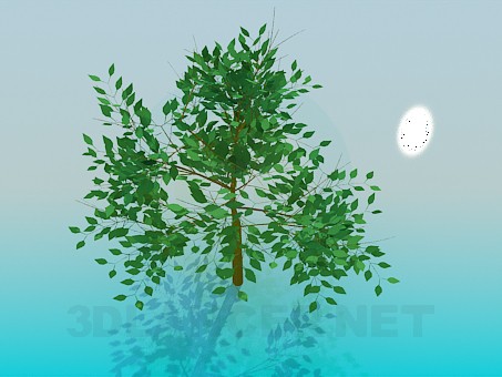 modelo 3D Árbol - escuchar modelo 3D Árbol - escuchar
