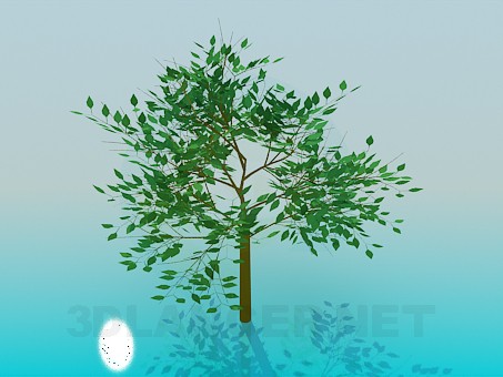 modelo 3D Árbol - escuchar modelo 3D Árbol - escuchar