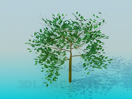 modelo 3D Árbol - escuchar modelo 3D Árbol - escuchar
