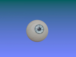globo del ojo
