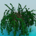 modèle 3D plantes d’intérieur - preview