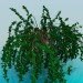 3D Modell Zimmerpflanze - Vorschau