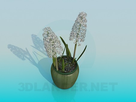 modèle 3D Fleur - preview