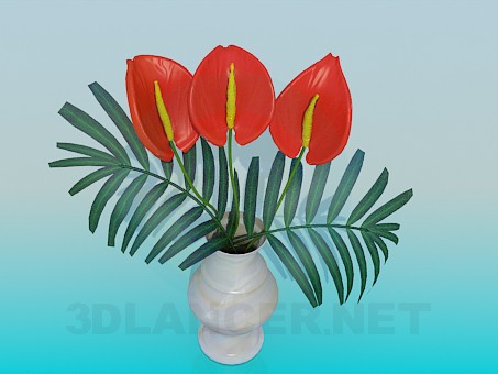 3d model Bouquet of anthuriums in a vase - preview