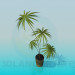3d model Palm in a pot - preview