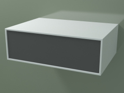 Box (8AUCAB01, Gletscherweiß C01, HPL P05, L 72, P 50, H 24 cm)