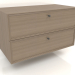 3d model Mueble de pared TM 14 (800x400x455, gris madera) - vista previa
