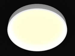Накладной светодиодный светильник (DL18551_01WW D580)