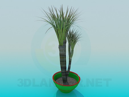 modelo 3D Bote - escuchar modelo 3D Bote - escuchar