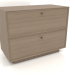 3d model Cabinet TM 15 (800x400x621, wood grey) - preview