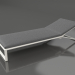 3d model Chaise longue (Agate gray) - preview