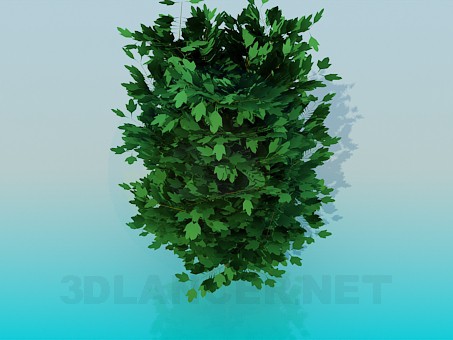 3d model Thick tree - preview 3d model Thick tree - preview