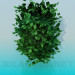 3D modeli Kalın ağaç - önizleme