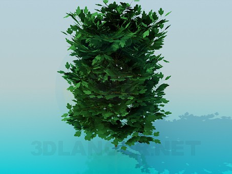 3d model Thick tree - preview 3d model Thick tree - preview