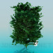 3d model Thick tree - preview