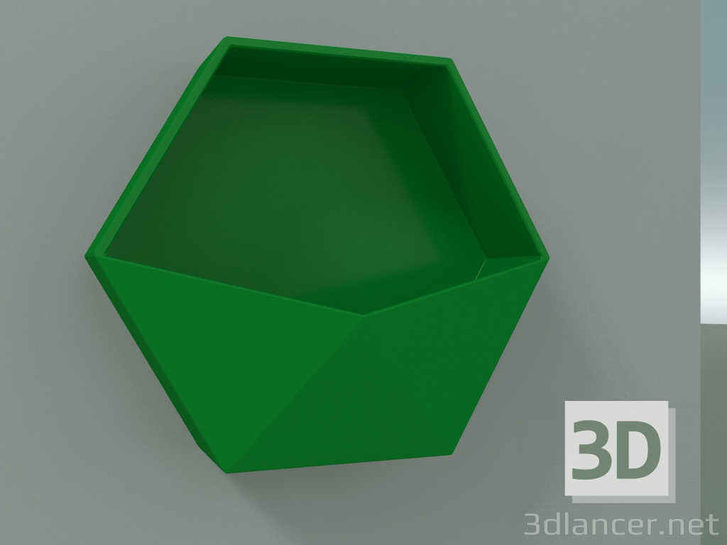 3D Modell Aquilone-Tablett (RAL 6037) - Vorschau