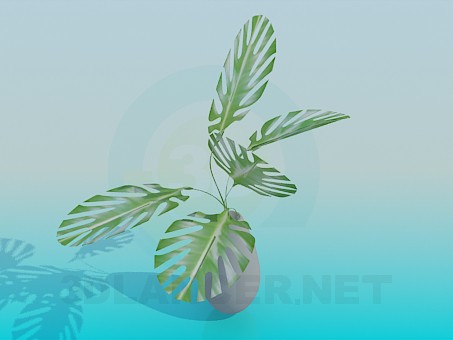modelo 3D Bote - escuchar modelo 3D Bote - escuchar