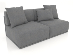 Módulo de sofá seção 4 (Antracite)