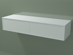 Double drawer (8AUEAA02, Glacier White C01, HPL P01, L 120, P 36, H 24 cm)