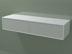 Double drawer (8AUEAA02, Glacier White C01, HPL P02, L 120, P 36, H 24 cm)