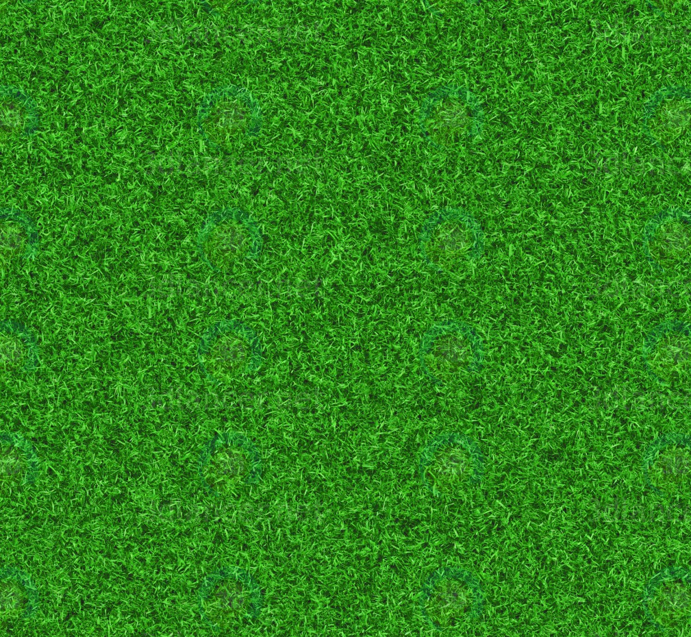 hihgres seamless grass texture