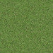 Texture Grass Téléchargement gratuit - image