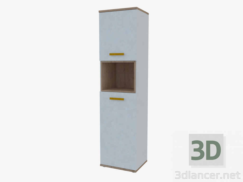 3d модель Шкаф 2-х дверный (TYPE 10) – превью